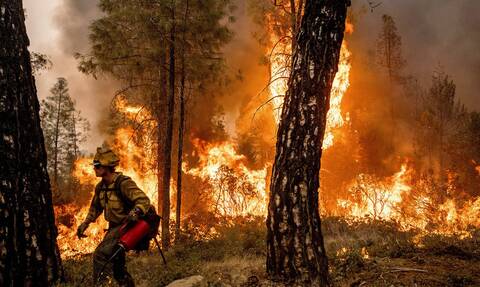 ΗΠΑ: Η βροχή βοήθησε τους πυροσβέστες να θέσουν υπό έλεγχο τη μεγάλη πυρκαγιά στην Καλιφόρνια