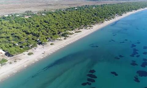 «Χρυσή» αμμουδιά χιλιομέτρων λιγότερο από μία ώρα από την Αθήνα (video)