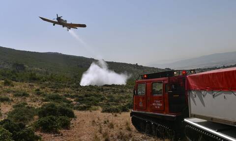 Φωτιά τώρα στο Πετροχώρι Μεσσηνίας - Επιχειρούν επίγειες και εναέριες δυνάμεις
