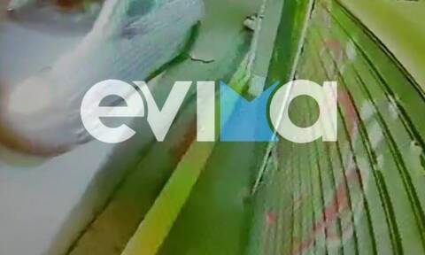 Εύβοια: Επιχείρησαν να «μπουκάρουν» σε κλειστό περίπτερο στην Νέα Αρτάκη