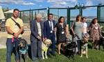 Ενισχύεται ο θεσμός των σκύλων-οδηγών - Πάγιο αίτημα των πολιτών με πρόβλημα όρασης
