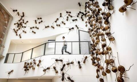 Μια ανατριχιαστική έκθεση με αράχνες και έντομα να κυκλοφορούν ελεύθερα στον χώρο