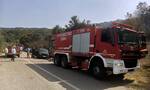 Χαλκιδική: Μεγάλη κινητοποίηση της Πυροσβεστικής για πυρκαγιά κοντά στον Άγιο Παύλο