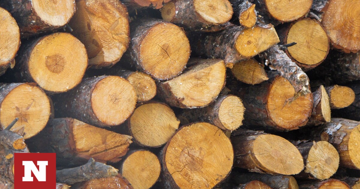There is a cap on firewood and pellets: fines of up to 100,000 euros for violators – Newsbomb – News