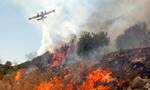 Φωτιά τώρα: Μεγάλη πυρκαγιά στο Μελιδόνι Φθιώτιδας