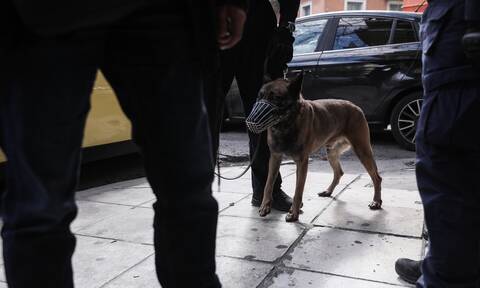 Θεσσαλονίκη: Βαριά πρόστιμα σε ασυνείδητους που έκαναν βόλτα σκυλιά χωρίς λουρί
