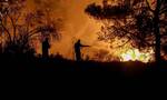 Φωτιά στην Κορινθία: Οριοθετημένο το μέτωπο στην περιοχή Καίσαρι