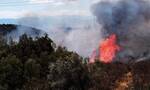 Φωτιά τώρα στη Χαλκίδα - Συναγερμός στην πυροσβεστική
