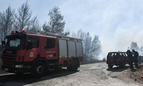 Ναύπακτος: Φωτιά σε δασική έκταση στην περιοχή Τερψιθέα