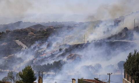 Περίπου 200.000 στρέμματα κάηκαν στην Ελλάδα το καλοκαίρι του 2022