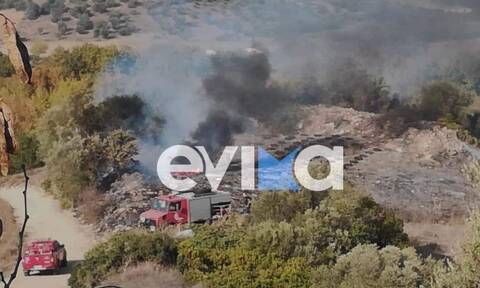 Εύβοια: Φωτιά στο Λοφίσκο Αυλωναρίου