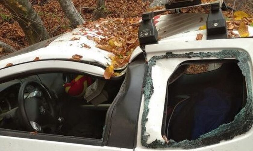 Παπίκιο Όρος: Δέντρα καταπλάκωσαν όχημα εθελοντή - Μαίνεται η φωτιά