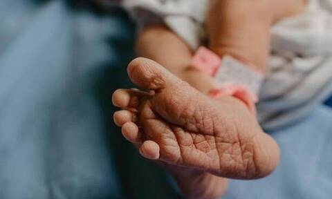 Φωτογραφικό άλμπουμ με μικροσκοπικά πατουσάκια νεογέννητων