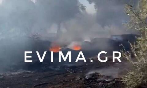 Εύβοια: Φωτιά τώρα σε δασική έκταση στην Αυλίδα
