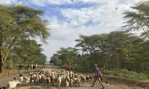 Νιγηρία: 18 νεκροί σε βίαια επεισόδια μεταξύ  κτηνοτρόφων και αγροτών