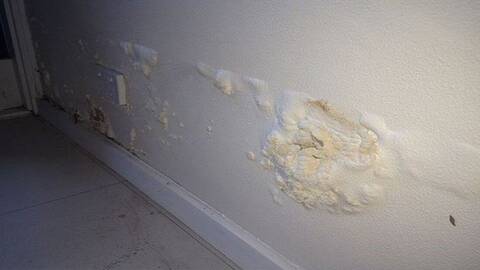 Έτσι θα διώξεις τη μούχλα από τους τοίχους του σπιτιού σου