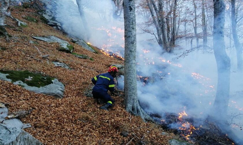 Παπίκιο Όρος: Η φωτιά στο παρθένο δάσος καίει για 19η μέρα