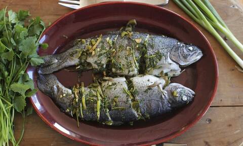 Έρευνα: Ψάρι στα κάρβουνα 780.000 ετών-Το πρώτο μαγείρεμα της ιστορίας