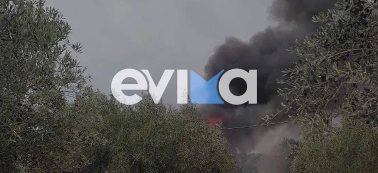 Εύβοια: Κάηκε μελισσοκομείο στα Ψαχνά - ΕΛΛΑΔΑ