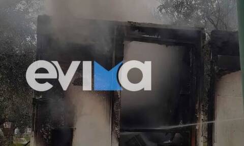 Εύβοια: Κάηκε μελισσοκομείο στα Ψαχνά