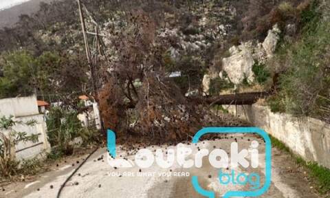 Κακοκαιρία: Κλειστός ο δρόμος στο Αλεποχώρι λόγω πτώσης δέντρων