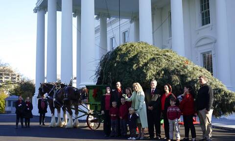 Χριστούγεννα στον Λευκό Οίκο: Η Τζιλ Μπάιντεν παρέλαβε το φετινό έλατο