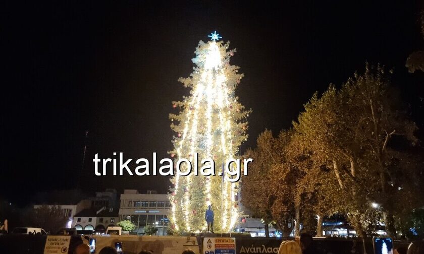 Τρίκαλα: Φωταγωγήθηκε το ψηλότερο φυσικό χριστουγεννιάτικο δέντρο