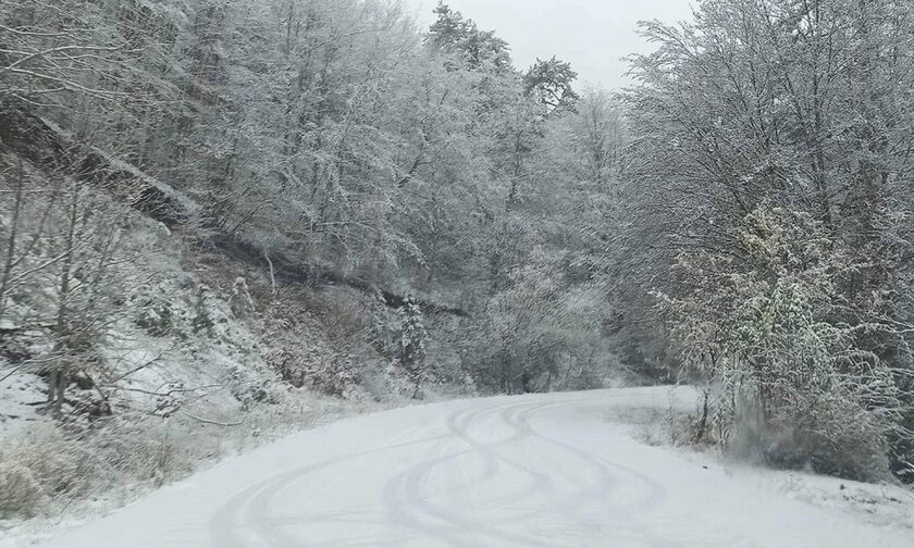 Χιόνια στα ορεινά της Ελλάδας - «Λευκές» εικόνες που μαγεύουν