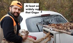 Κυνηγός πυροβολήθηκε και σκοτώθηκε από τον σκύλο του