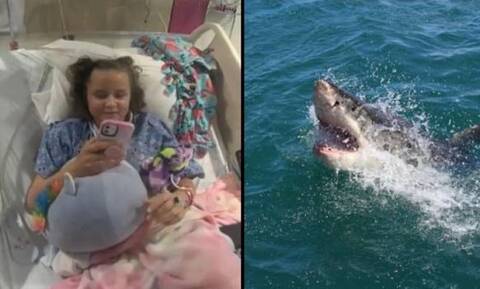Καρχαρίας επιτέθηκε σε 10χρονη: Τον κλώτσησε και κατάφερε να γλιτώσει