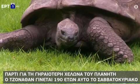 Πάρτι για τη γηραιότερη χελώνα του πλανήτη - Γίνεται 190 ετών