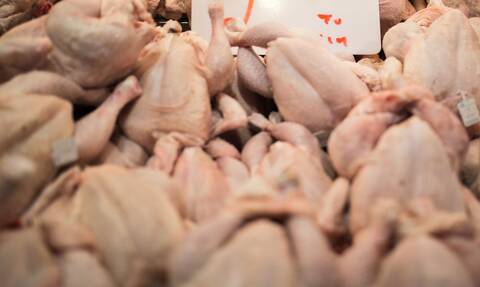 Ο ΕΦΕΤ ανακαλεί κατεψυγμένο ρολό κοτόπουλο – Εντοπίστηκε σαλμονέλα