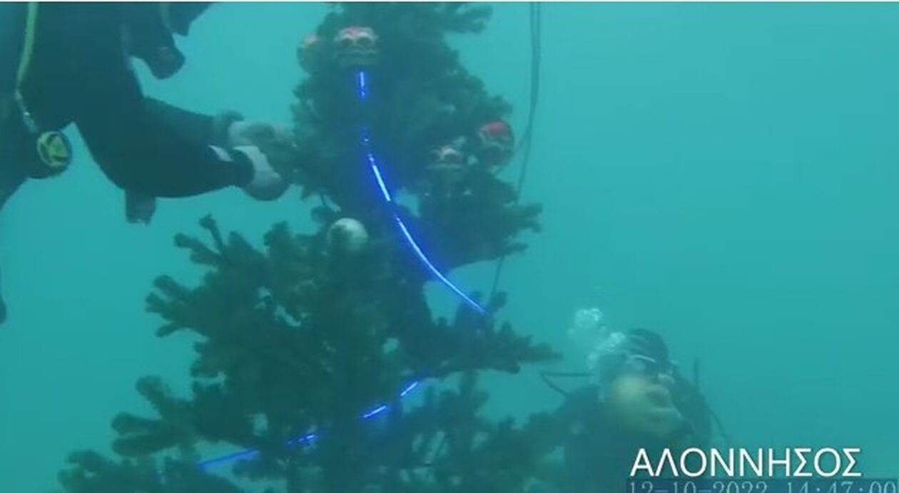Στολισμός xριστουγεννιάτικου δέντρου στον βυθό της Αλοννήσου