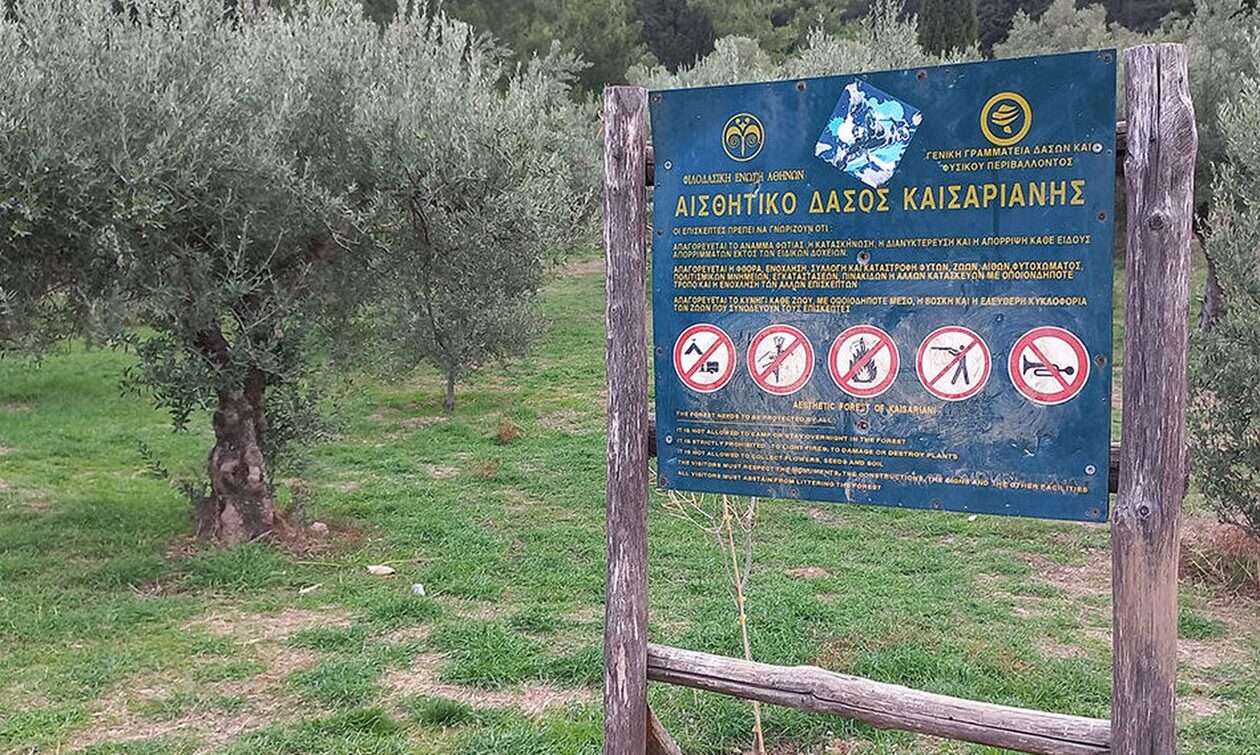 Ο δήμος Καισαριανής «μαθαίνει» το δάσος σε μαθητές και επισκέπτες