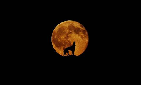 Απόψε το «Φεγγάρι του λύκου» - Η πρώτη πανσέληνος του 2023