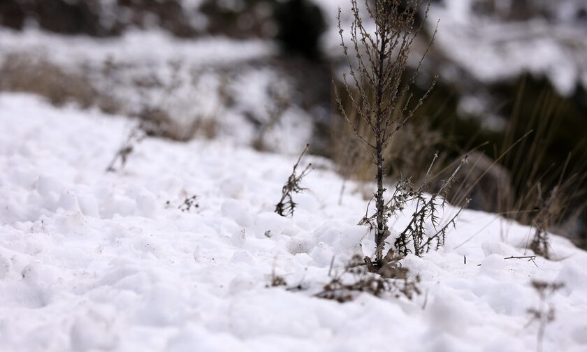 Καιρός: Χιόνια στην Ήπειρο - Απαγόρευση κυκλοφορίας σε φορτηγά - Κλειστά τα σχολεία στο Μέτσοβο