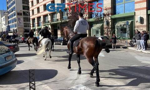 Θεσσαλονίκη: 30 άλογα βγήκαν για... βόλτα στο κέντρο της πόλης - Έκπληκτοι οι περαστικοί