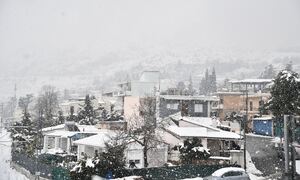 Κακοκαιρία Μπάρμαρα: Χιόνια μέχρι και στην Αττική - Τι θα γίνει με τα σχολεία