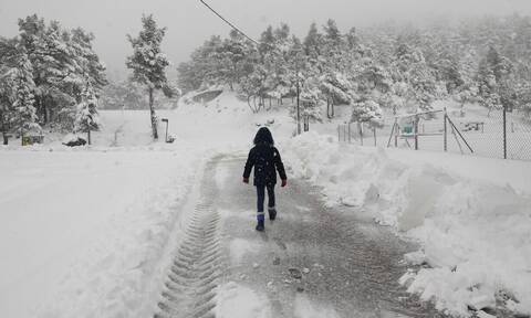 Κακοκαιρία Μπάρμπαρα - Μαρουσάκης: Νέες πυκνές χιονοπτώσεις στην Αττική μέχρι και την Πέμπτη