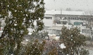 Κακοκαιρία Μπάρμπαρα: Νέα ψυχρή εισβολή στην Αττική – Χιόνια σε όλη την Ελλάδα