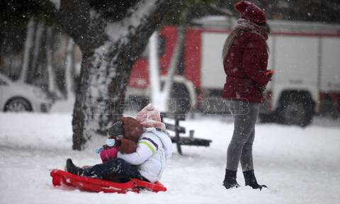 Κακοκαιρία Μπάρμπαρα: Συνεχίζεται η επέλαση του χιονιά- Πώς θα λειτουργήσουν σχολεία και καταστήματα
