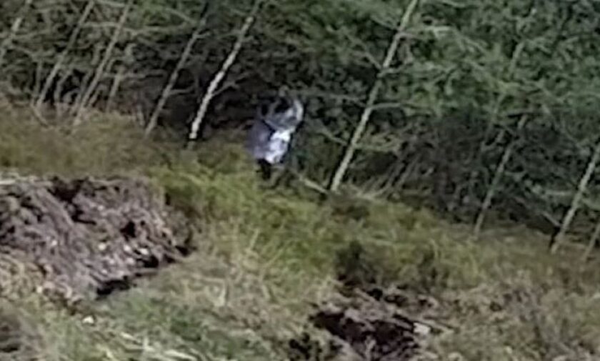 «Φάντασμα μικρού κοριτσιού» που καταδιώκει περαστικούς σε δάσος της Αγγλίας «εντοπίστηκε από drone»