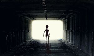 «Εξωγήινοι θα εισβάλλουν στη Γη... σήμερα» : Νέα πρόβλεψη χρονοταξιδιώτη του Tik Tok
