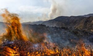 Εκτός ελέγχου η μεγάλη δασική πυρκαγιά στην ανατολική Ισπανία - Πάνω από 700 πυροσβέστες