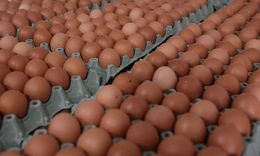 Ακρίβεια: Είδος πολυτελείας τα αυγά - Αισχροκέρδεια όταν βγαίνουν από το «καλάθι του νοικοκυριού»
