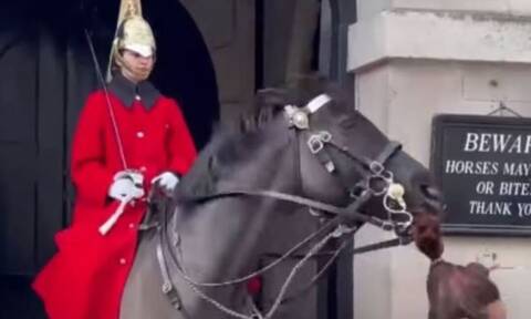 Μπάκιγχαμ: Άλογο της βασιλικής φρουράς δάγκωσε την κοτσίδα τουρίστριας