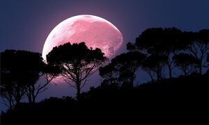 «Φεγγάρι της Φράουλας»: Απόψε θα είναι ορατό στον νυχτερινό ουρανό