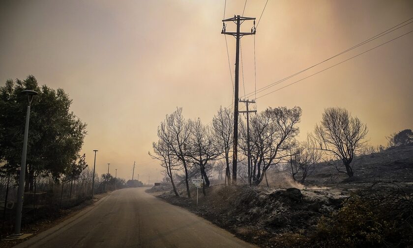 Φωτιά στη Ρόδο - Αντιπεριφειαρχης: «Ζούμε τραγικές στιγμές» - Απομακρύνθηκαν 8.000 άνθρωποι