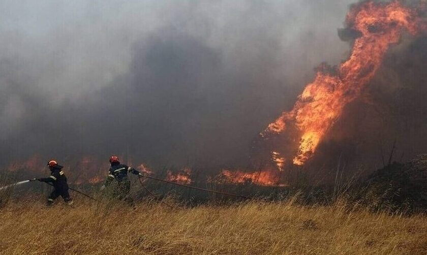 Φωτιά τώρα στην Εύβοια: Τρία τα πύρινα μέτωπα στην Κάρυστο