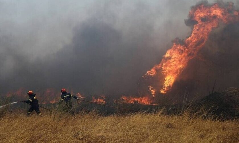 Φωτιά τώρα στην Κύμη Εύβοιας, κοντά σε σπίτια - Newsbomb - Ειδησεις - News